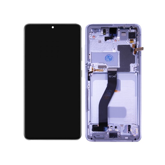 Touch+Display+Frame Samsung Galaxy S21 Ultra 5G 2021/G998B Service Pack Silver Touch+Display+Frame Samsung Galaxy S21 Ultra 5G 2021/G998B Service Pack Silver